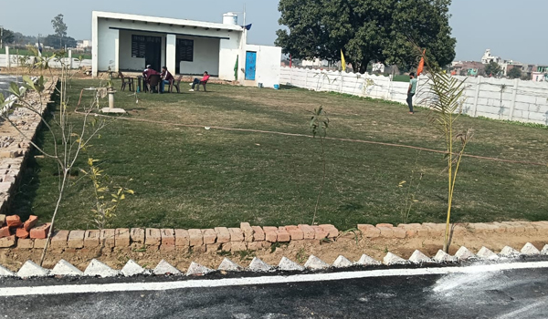 Commercial Buildings